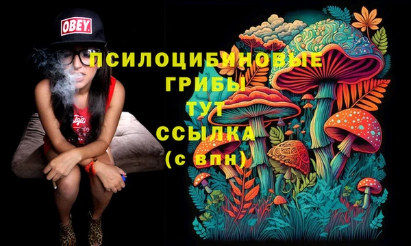 ECSTASY Гусиноозёрск