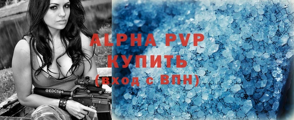 твердый Гусь-Хрустальный