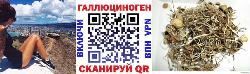 купить закладку  Давлеканово  Галлюциногенные грибы Cubensis 